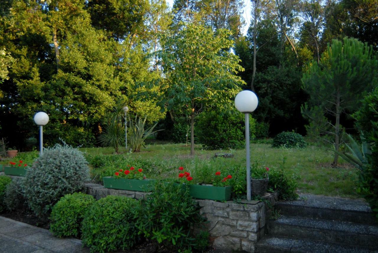 Apartment Marta Preko Exterior photo